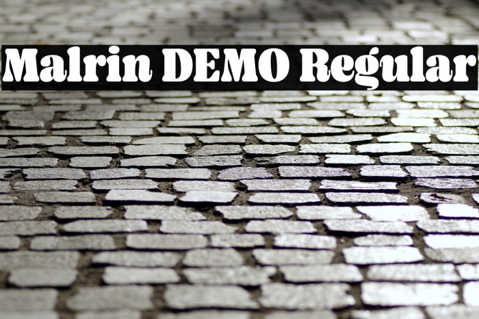 Malrin DEMO Regular Example 3