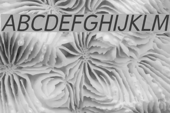 Malter Sans Italic Demo Font examples