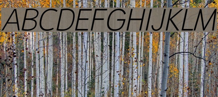 Malter Sans Light Italic Demo Font examples