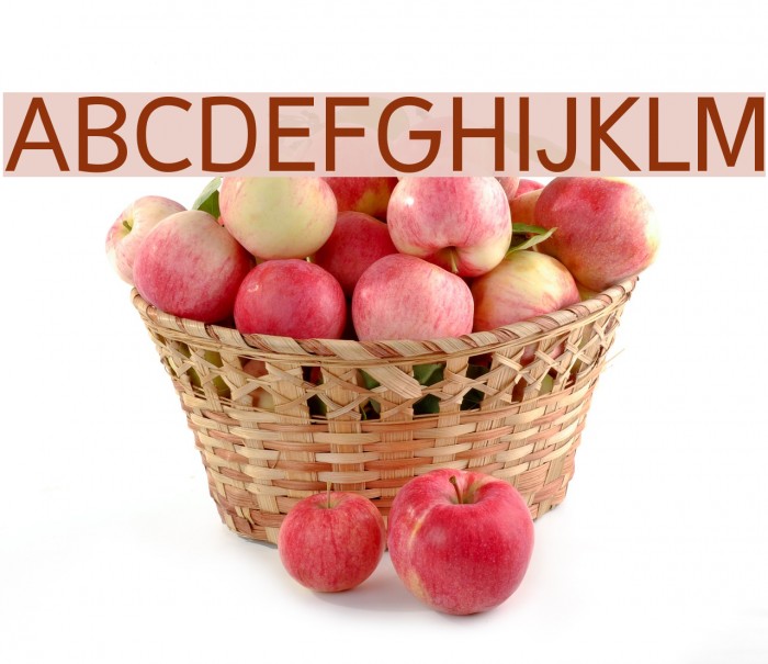 Malter Sans Regular Demo Example 3