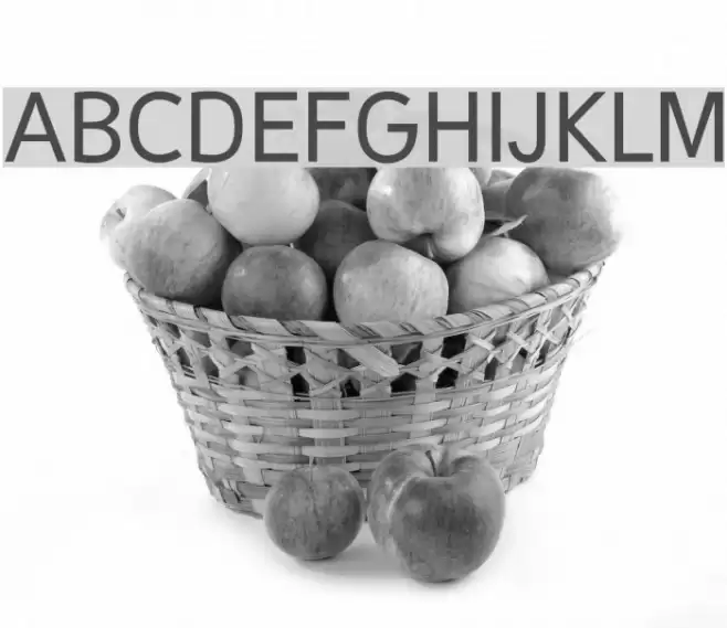 Malter Sans Regular Demo Font examples