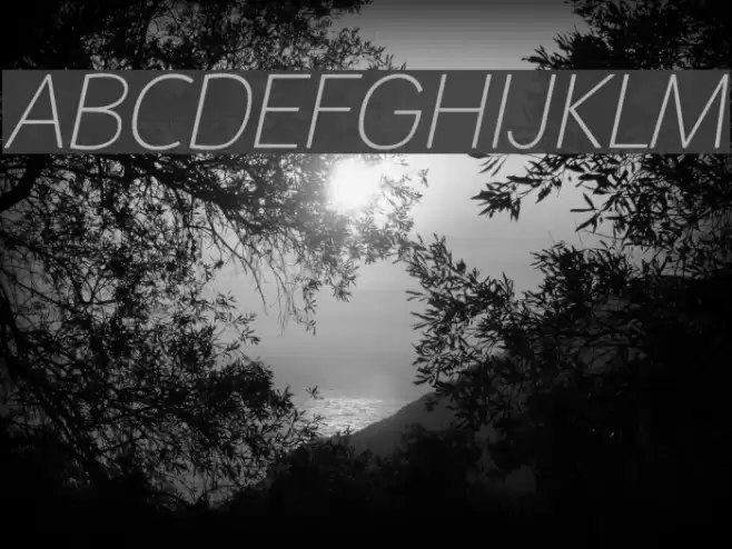 Malter Sans Thin Italic Demo Font examples