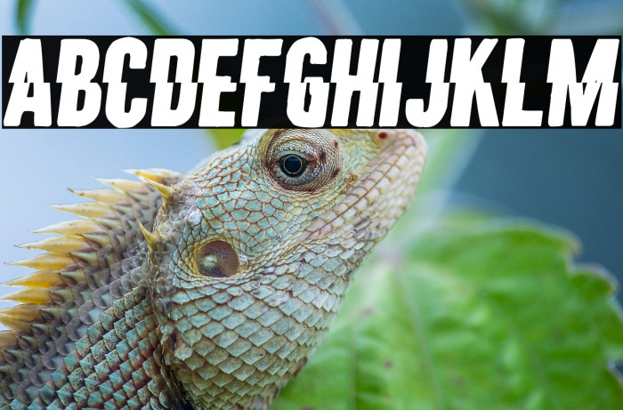 Malum Illegitimi Example 2