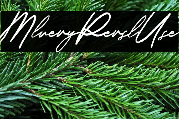 Malverya Personal Use Example 2