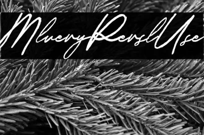 Malverya Personal Use Example 2