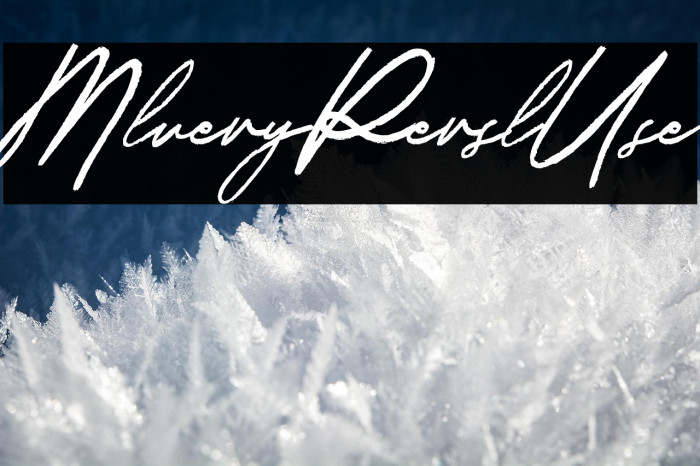 Malverya Personal Use Example 3