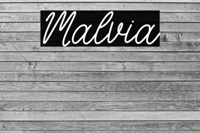 Malvia Schriftart examples