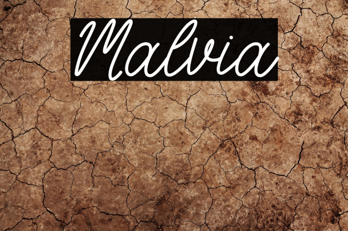 Malvia Example 2