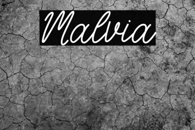 Malvia Schriftart examples