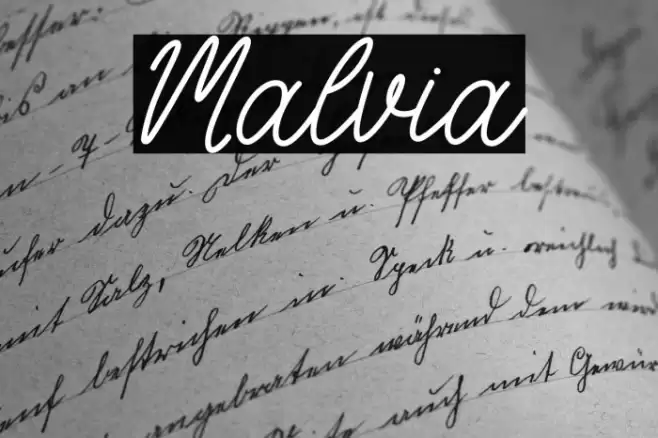 Malvia Schriftart examples