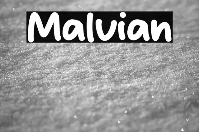 Malvian Example 1