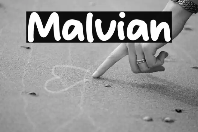 Malvian Example 2