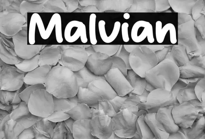 Malvian Example 3