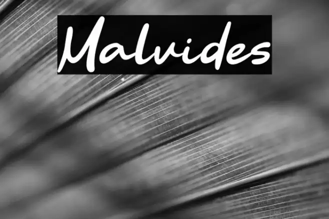 Malvides Caratteri examples