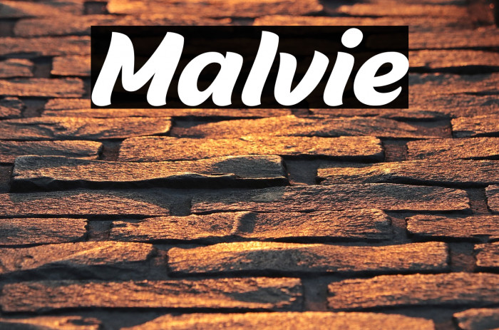 Malvie Caratteri examples