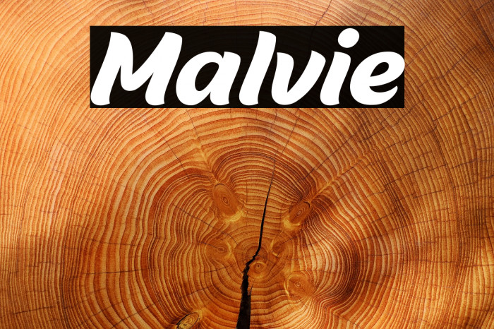 Malvie Caratteri examples