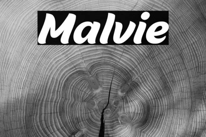 Malvie Caratteri examples