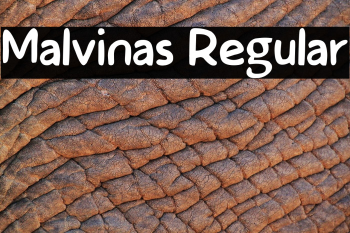 Malvinas Regular Шрифта examples