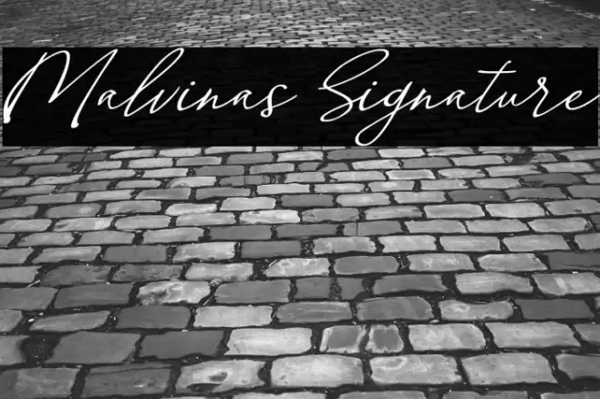 Malvinas Signature Font examples