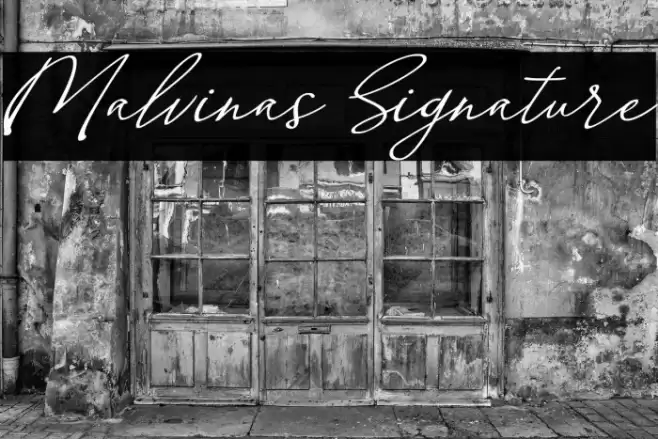 Malvinas Signature Font examples