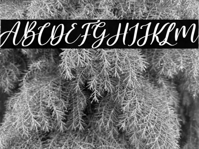 Malyska Italic Font examples