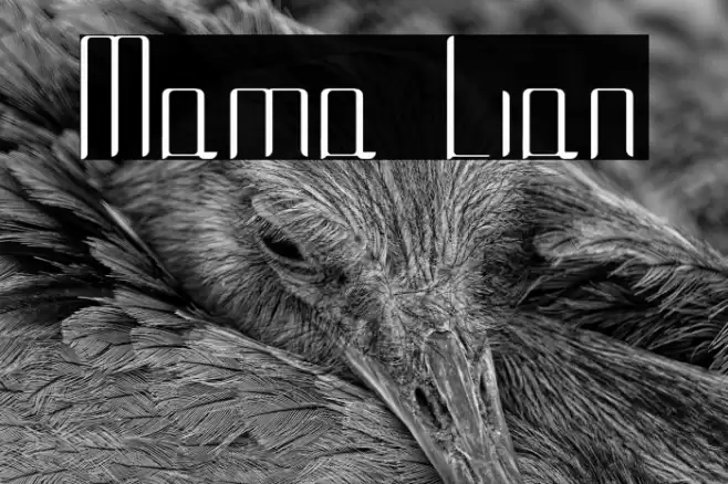 Mama Lian Font examples