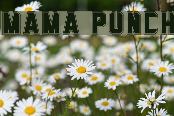 Mama Punch Font examples