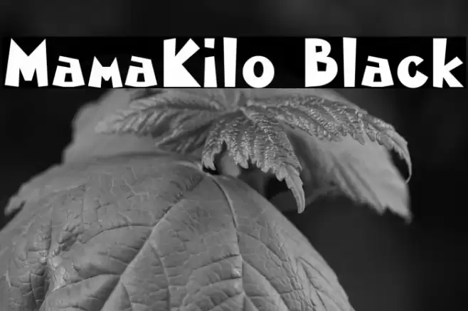 MamaKilo Black Font examples