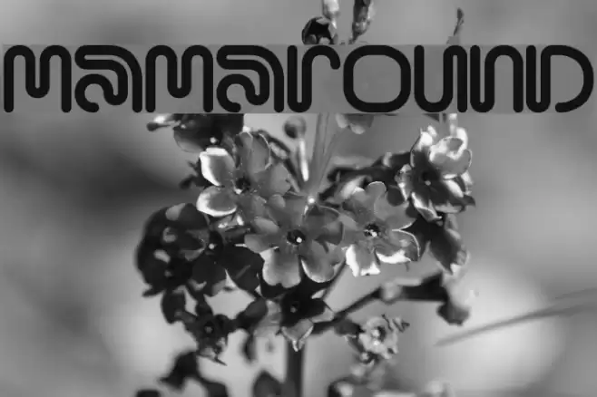 MamaRound Font examples