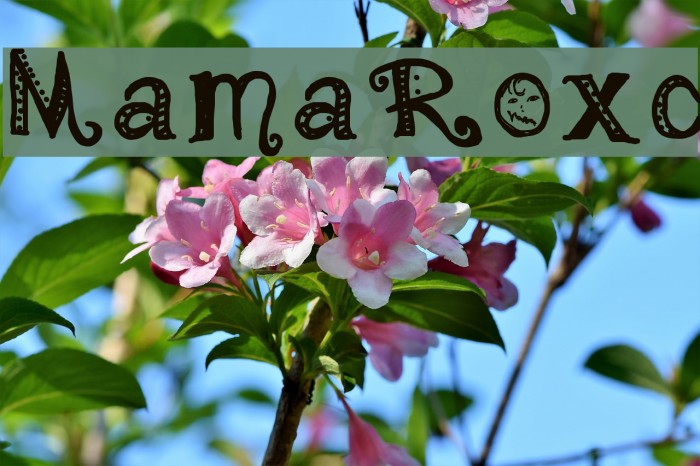 MamaRoxc Font examples