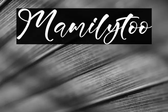Mamilytoo Example 1