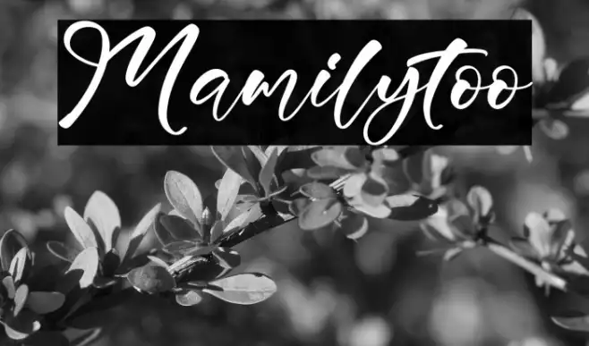 Mamilytoo Example 2