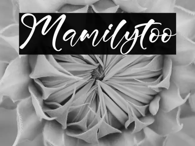 Mamilytoo Example 3