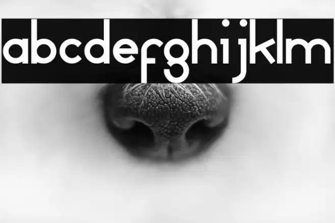 MammaGamma Font examples