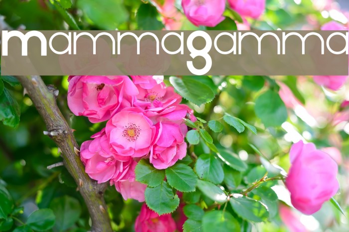 MammaGamma Font examples