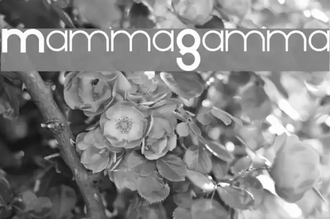 MammaGamma  examples