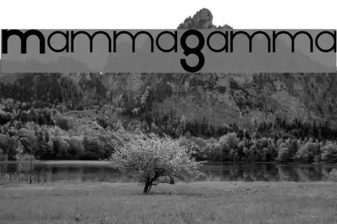 MammaGamma  examples