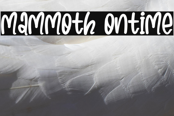 Mammoth Ontime Example 1