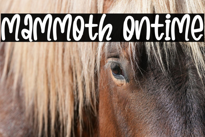 Mammoth Ontime Example 2