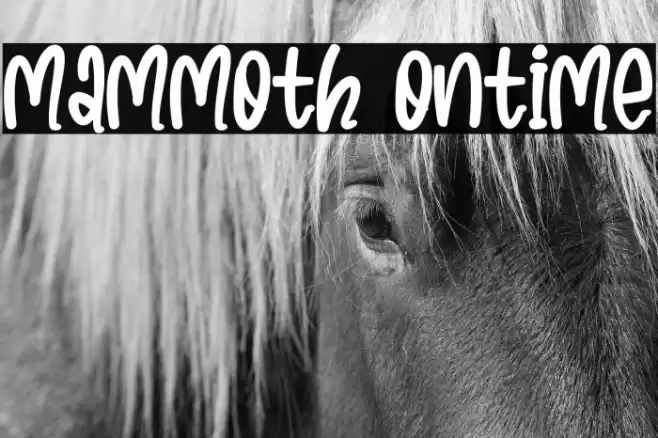 Mammoth Ontime Font examples