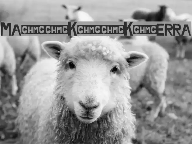 Mamukpokterra Font examples