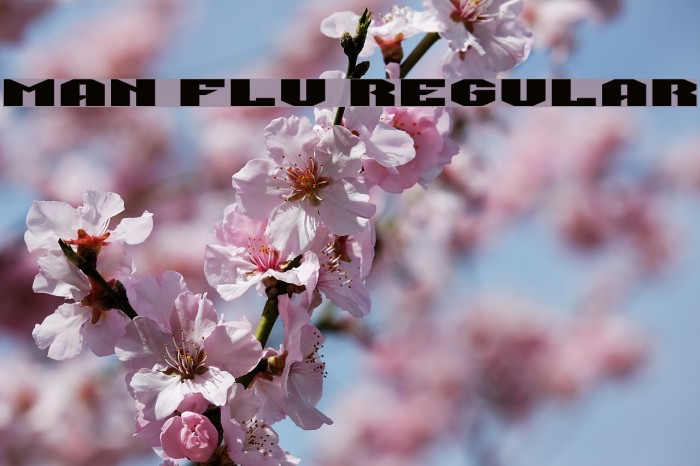 Man Flu Regular Example 2