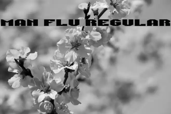 Man Flu Regular Font examples