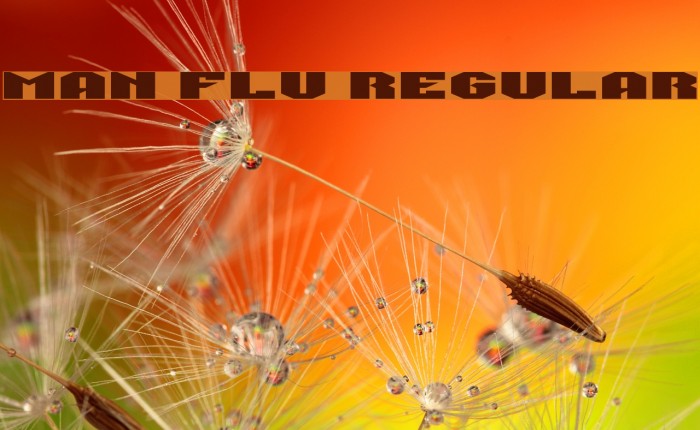 Man Flu Regular Example 3