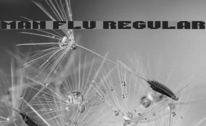 Man Flu Regular Font examples