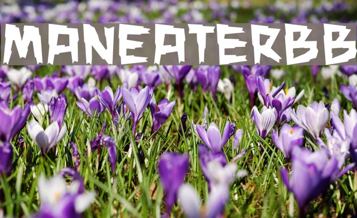 ManEaterBB Font examples