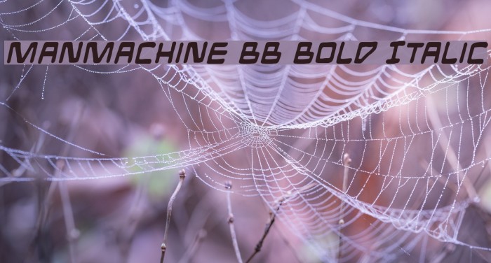 ManMachine BB Bold Italic Font examples