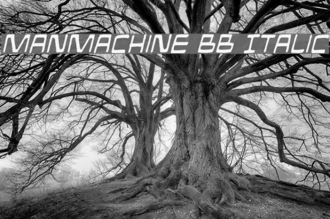 ManMachine BB Italic Font examples
