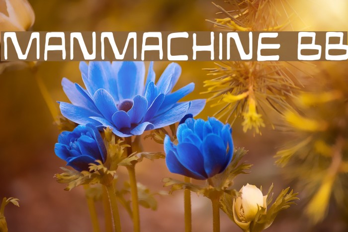 ManMachine BB Font examples