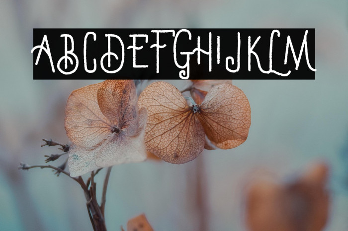 Manadis Deadly Demo Version Example 2